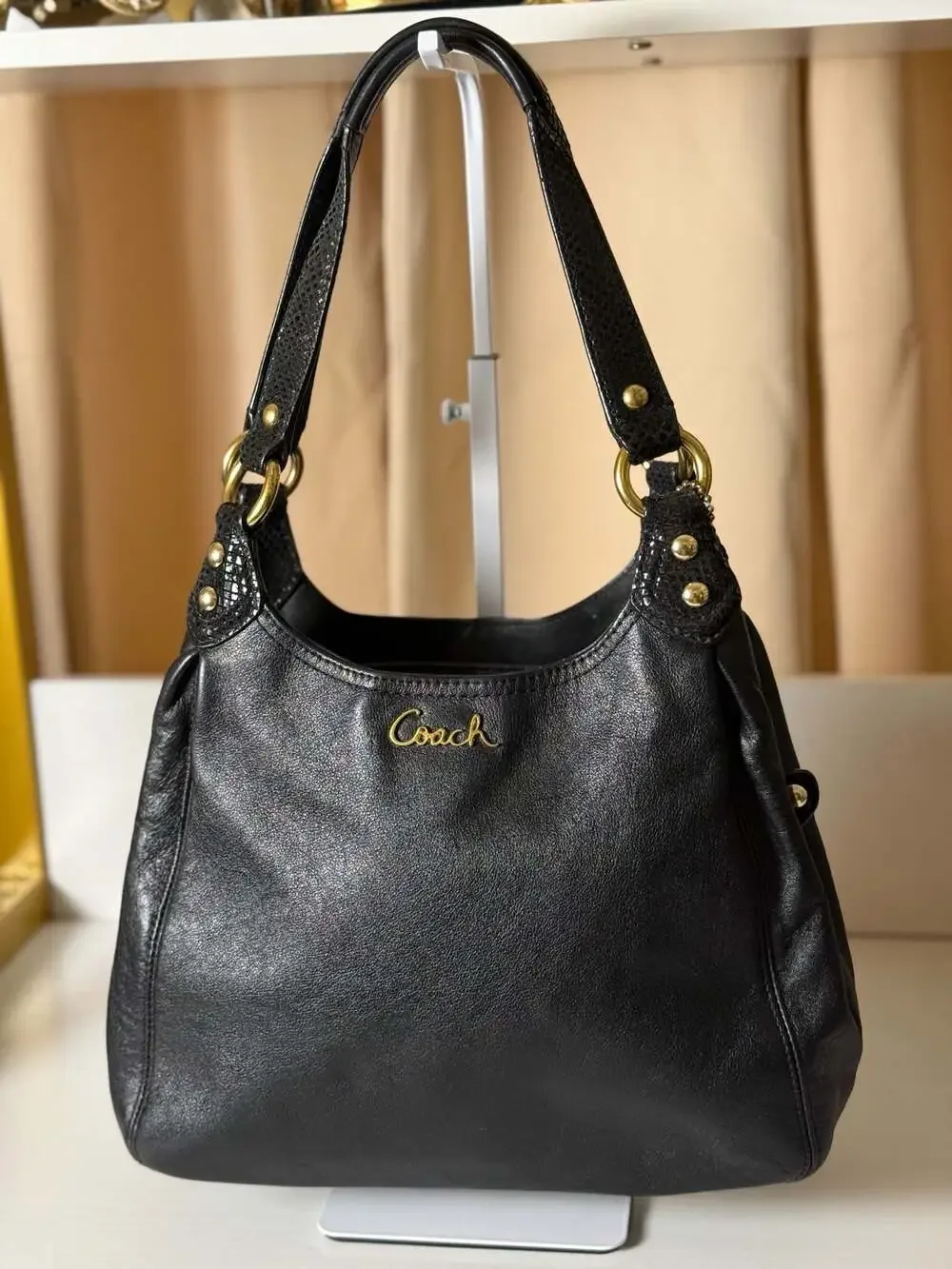 Coach Ashley Leather Hobo Bag with Snakeskin-Embossed Detail
